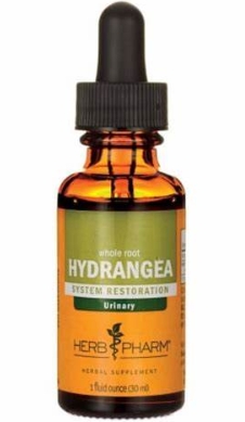 Herb Pharm - Hydrangea Root Ext Lq 1 OZ