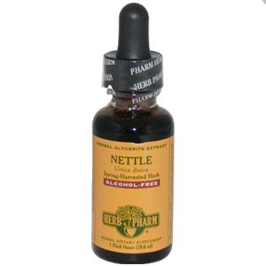 Herb Pharm - Nettle Glycerite A/F 1 OZ