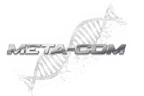 META-COM SUPPLEMENTS Plasmic Pump 25 Servings 370g Unicorn Candy