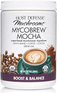 Fungi Perfecti - Host Defense Mycobrew Boost & Balance Mocha 10.05 oz  20 Servings