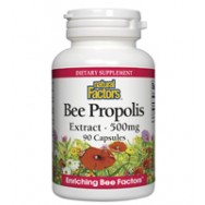 Natural Factors Bee Propolis Ext 500Mg 90 Cap