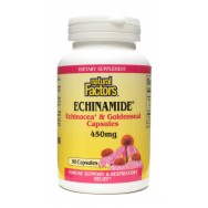 Natural Factors Ech+Goldenseal 90 Cap