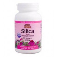 Natural Factors Silica Ext 500Mg 90 Cap