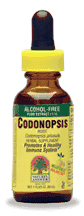 Natures Answer Codonopsis Alcohol Free 1 oz