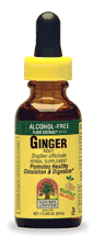 Natures Answer Ginger Root Alcohol Free Extract 1 oz