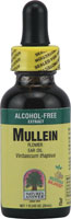 Natures Answer Mullein Flower(Ear) Oil Extract 1 oz