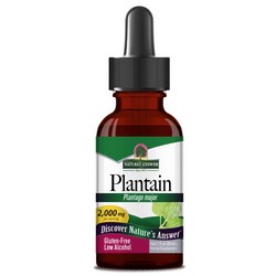 Natures Answer Plantain Leaves Extract 1 oz