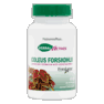 Natures Plus Coleus Forskohlii 125 Mg Vegetarian Capsule 60