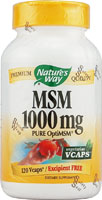 Natures Way - MSM 1000 mg 120 Tb