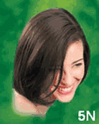 Naturtint Hair Color 5N Lt Chestnut Kit