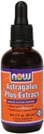 Now Vitamins - Astragalus Plus Extract 2 oz.-TEMP OUT OF STOCK