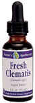 Now Vitamins - Clematis Leaf 1oz