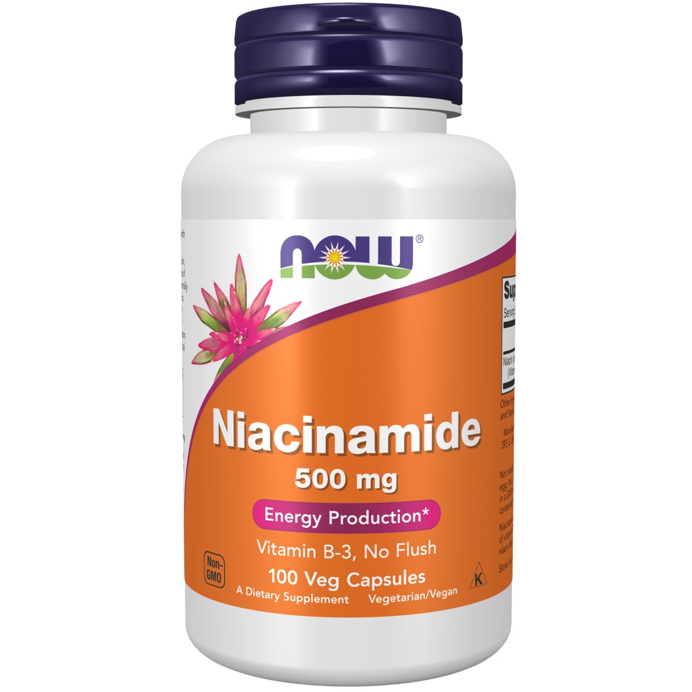 Now Vitamins - Niacinamide 500Mg 100 Caps