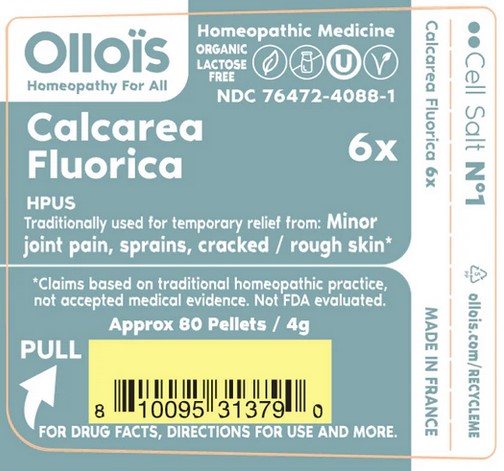 Ollois Calcarea Fluorica 6X Cell Salt #1 80 ct