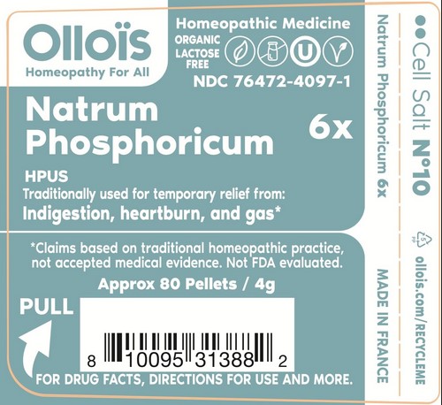 Ollois Natrum Phosphoricum 6X Cell Salt #10 80 ct