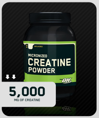 Optimum Nutrition - Creatine Powder (Creapure) 300 grams        TEMPORARILY UNAVAILABLE
