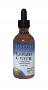Planetary Herbals - Echinacea Glycerite Lemon 4 fl oz-OUT OF STOCK
