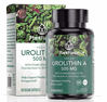 Plantfusion - Vegan Urolithin A 500 mg with Pomegranate 60 vcaps