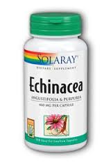 Solaray - Echinacea Purpurea & Angustifolia Root 460 mg 100 Veg Cap
