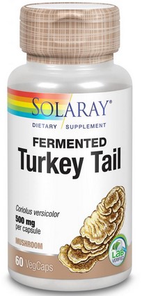Solaray - Organically Grown Fermented Turkey Tail Mushroom 500 mg 60 Veg Cap