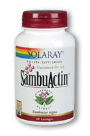 Solaray - Black Elderberry Extract 200 mg 60 Lozenge