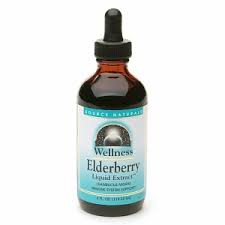 Source Naturals Wellness Elderberry Extract 4 fl oz