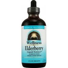 Source Naturals Wellness Elderberry Extract 8 fl oz