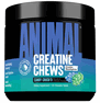 Universal Animal Creatine Monohydrate Chews Candy Crush'd  120 chews