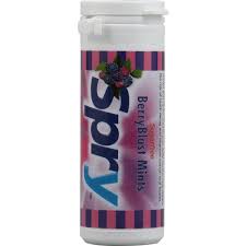 Xlear Spry BerryBlast Mints Sugarfree 45 Count Tube 