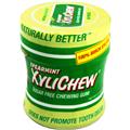Xylichew - Spearmint Gum 60 pc jar