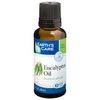 100% Natural & Pure Eucalyptus Oil