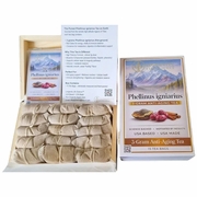 3-Gram Anti-Aging Tea (Phellinus Igniarius), 15 Tea Bags, Longevity Life Science