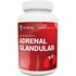 Adrenal Glandular