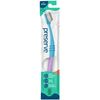 Adult Toothbrush in Lightweight Pouch, Medium