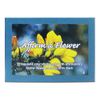 Affirm a Flower, Set of Bach Flower Cards - English