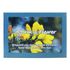 Affirm a Flower, Set of Bach Flower Cards - English