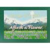 Affirm a Flower, Set of Range of Light Flower Cards - English