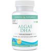 Algae DHA