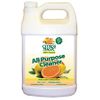 All Purpose Cleaner Gallon Refill, Fresh Citrus