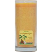 Aloha Jar Coconut Wax Blend Candle with Pure Essential Oils, Pumpkin Spice, 11 oz, Aloha Bay