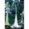 Angel's Trumpet Dropper