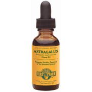 Astragalus Extract (Huang Qi) Liquid, 4 oz, Herb Pharm