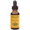 Astragalus Extract (Huang Qi) Liquid