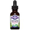 Astragalus Liquid Extract, Organic