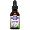 Astragalus Liquid Extract, Organic, Alcohol Free