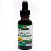 Astragalus Root Alcohol Free Extract Liquid 1 oz from Nature's Answer