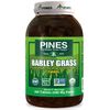 Barley Grass