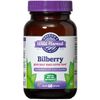 Bilberry