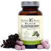 Black Elderberry