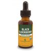 Black Elderberry Extract Liquid